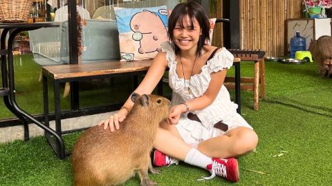 Кафе с животными на Пхукете