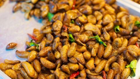 Жареные насекомые на Пхукете: кузнечики, жуки и личинки 