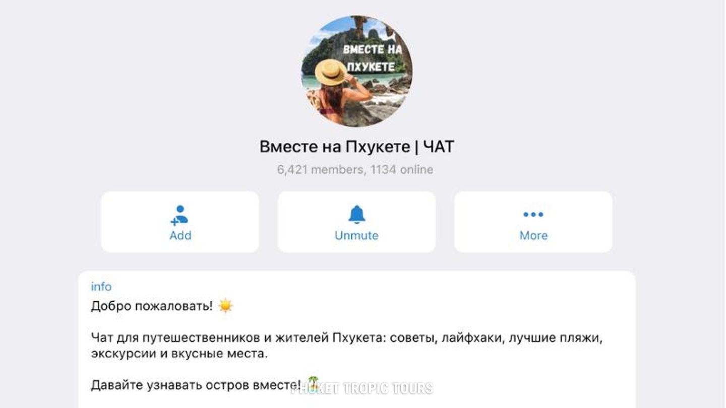 Телеграм чат на Пхукете