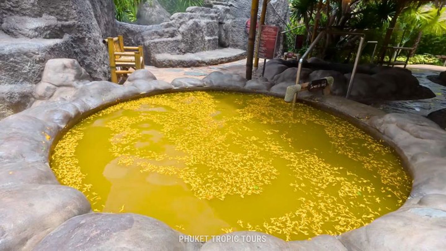 Мантра Спа - Фото 3 Мантра Спа - Фото 3