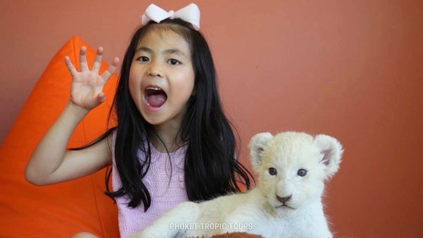 Кафе с животными на Пхукете - фото 5 Кафе с животными на Пхукете - фото 5