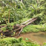 Фото отзыва Виталий №1