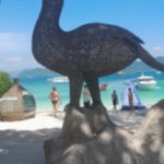 Фото отзыва Елена Т  №2