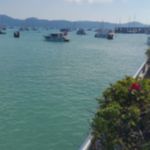 Фото отзыва Елена Т  №3