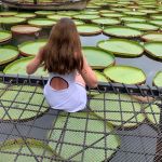 Фото отзыва Гульнара  №1