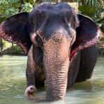 Фото отзыва Евгения  №1