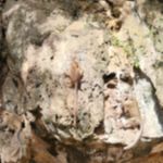 Фото отзыва Евгения  №4