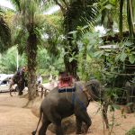 Фото отзыва Евгения  №6