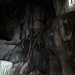 Фото отзыва Irina  №1