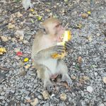 Фото отзыва Татьяна №1