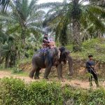 Фото отзыва Татьяна №2