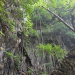 Фото отзыва Татьяна №3