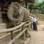 Фото отзыва Ирина  №1