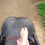 Фото отзыва Ирина  №2