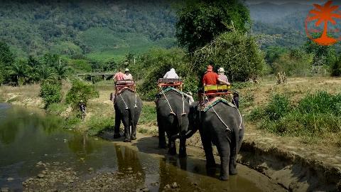 Катание на слонах, экскурсия Као Лак